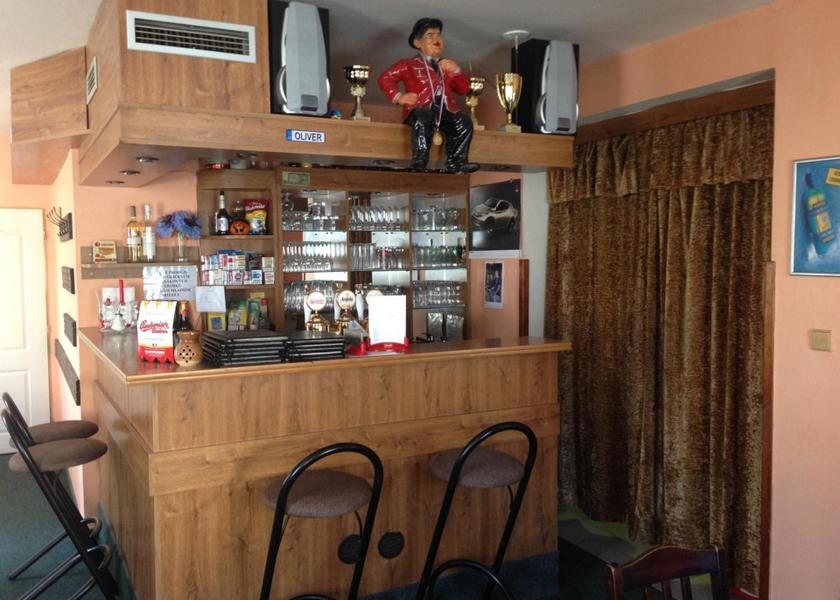 South Bohemia Region Horni Plana bar/lounge
