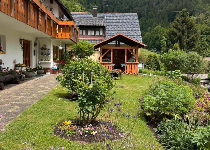 Baden-Württemberg Bad Rippoldsau-Schapbach Outdoors