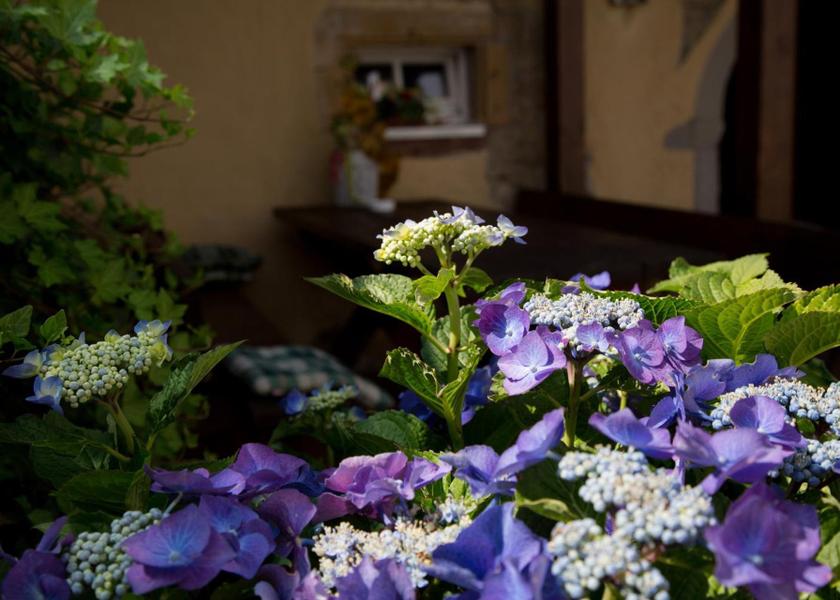 Saarland Perl garden