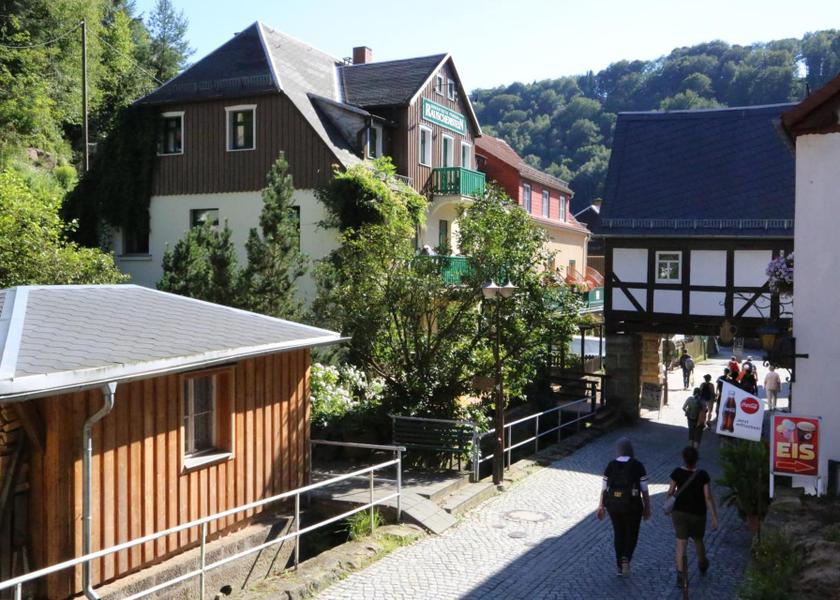 Saxony Bad Schandau surrounding environment