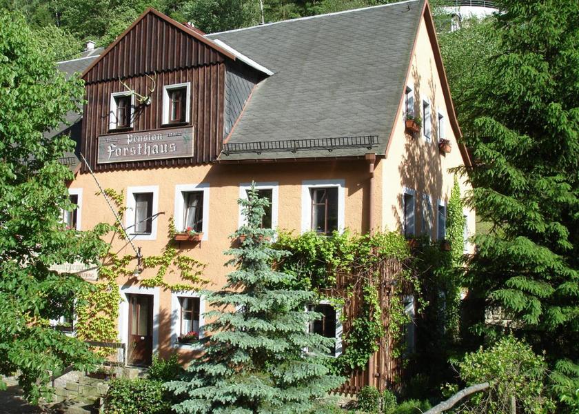 sports and activities