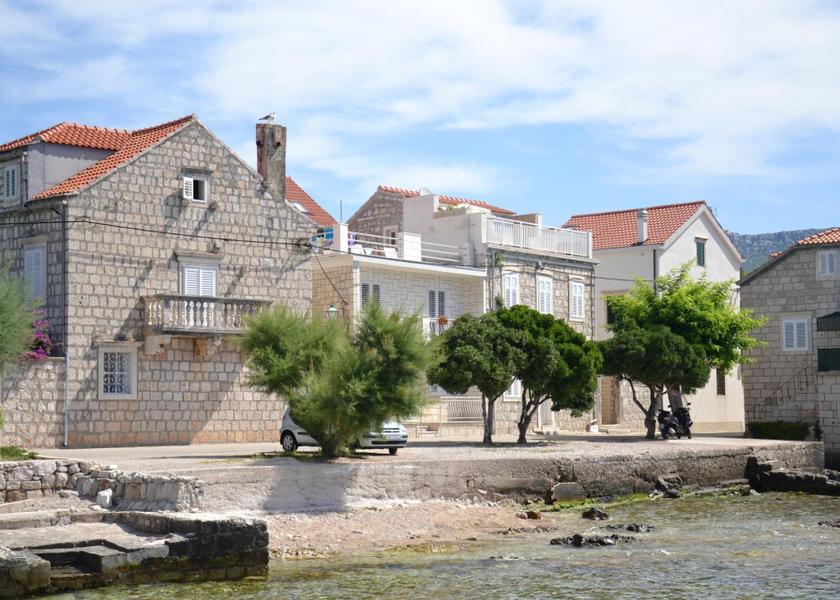 surrounding environment