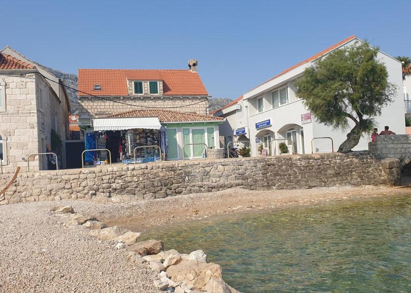 surrounding environment