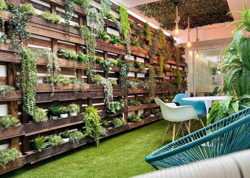 Valencian Community San Vicente del Raspeig garden