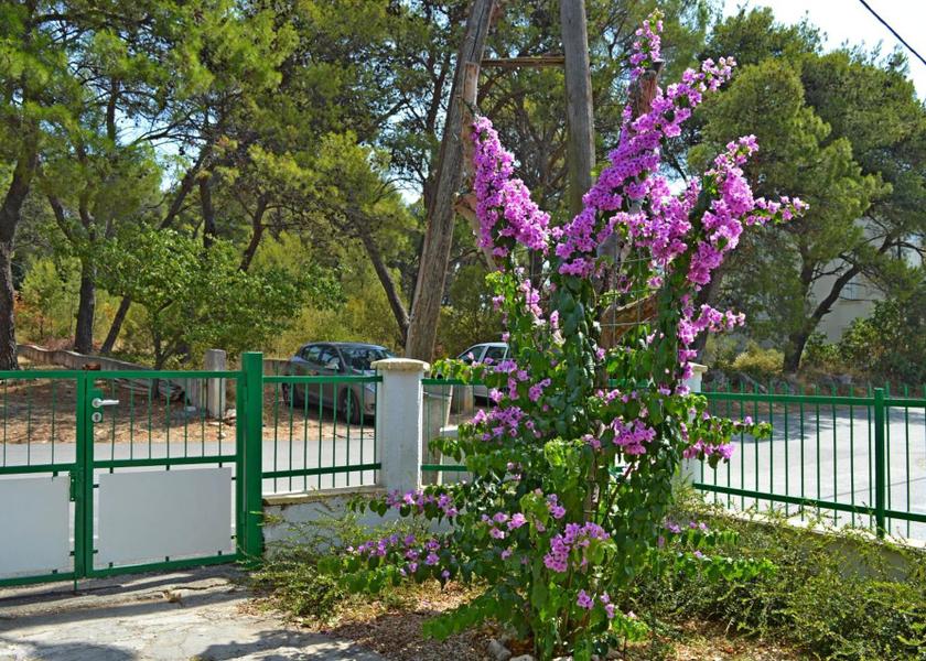 Zadar Biograd na Moru 