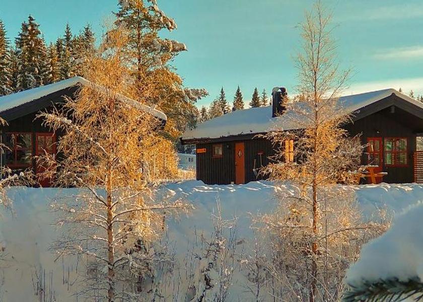 Innlandet Trysil 