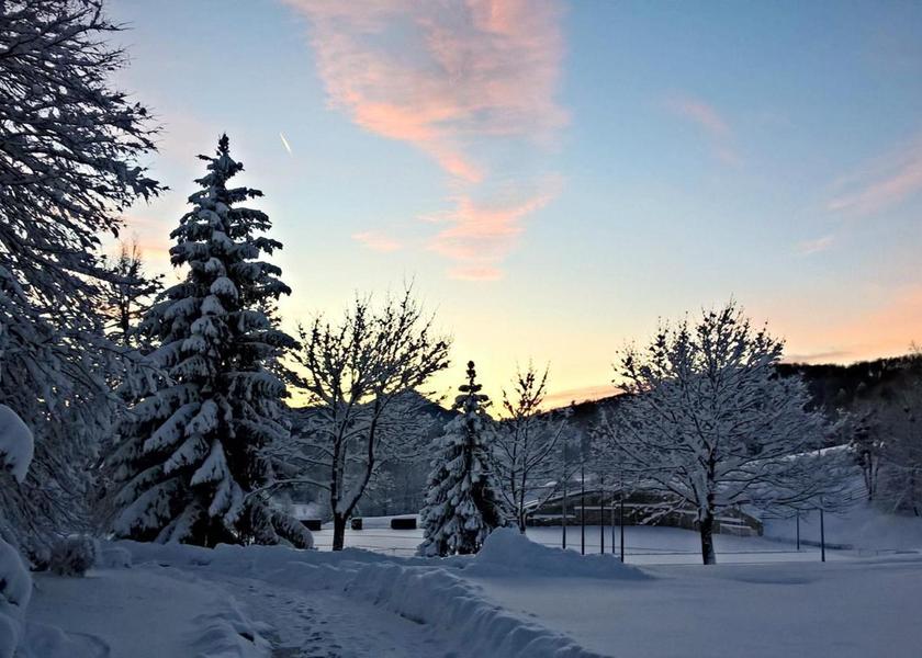 surrounding environment