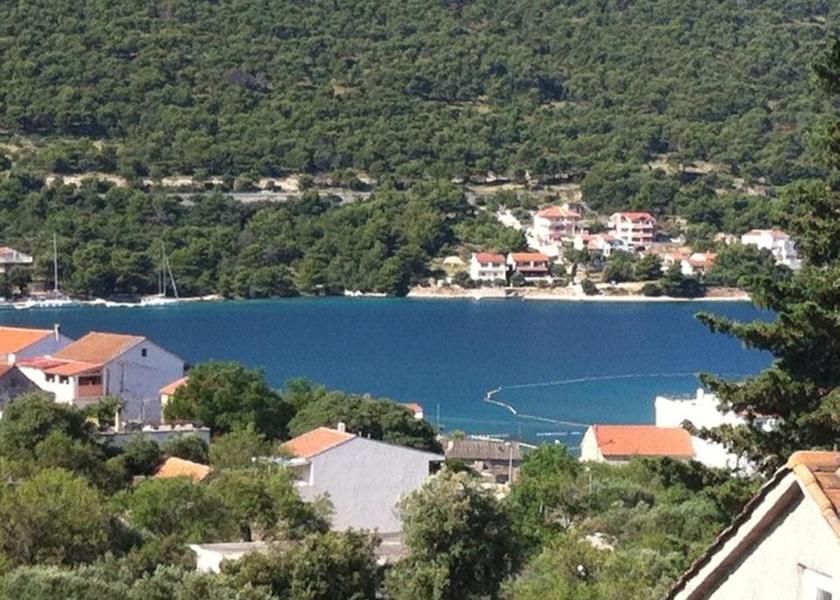 surrounding environment