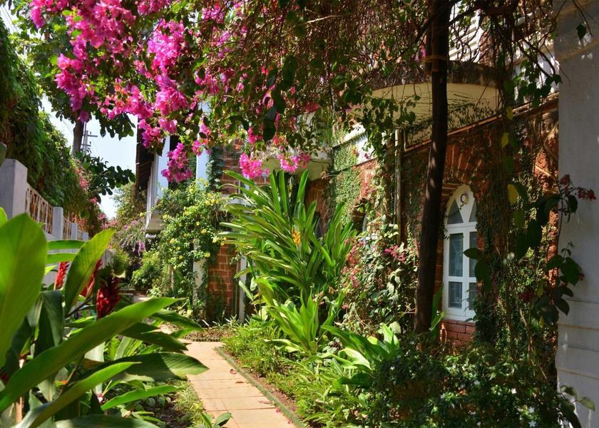 Goa Baga Outdoors