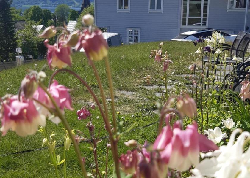 Hordaland (county) Voss 