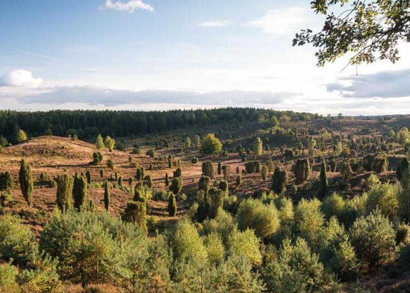 surrounding environment