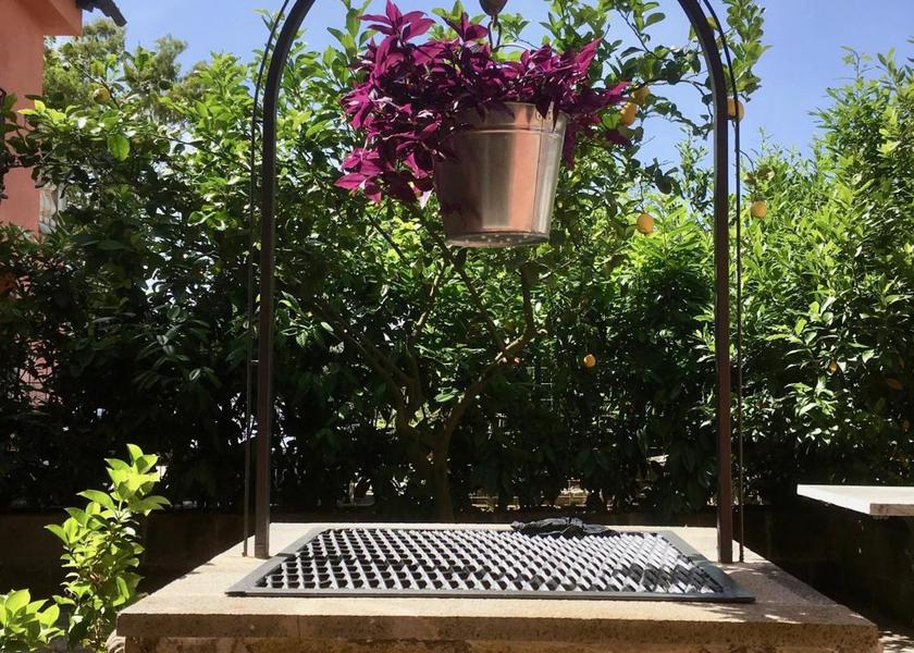 Campania Sant'Agnello garden