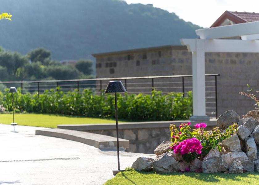 surrounding environment