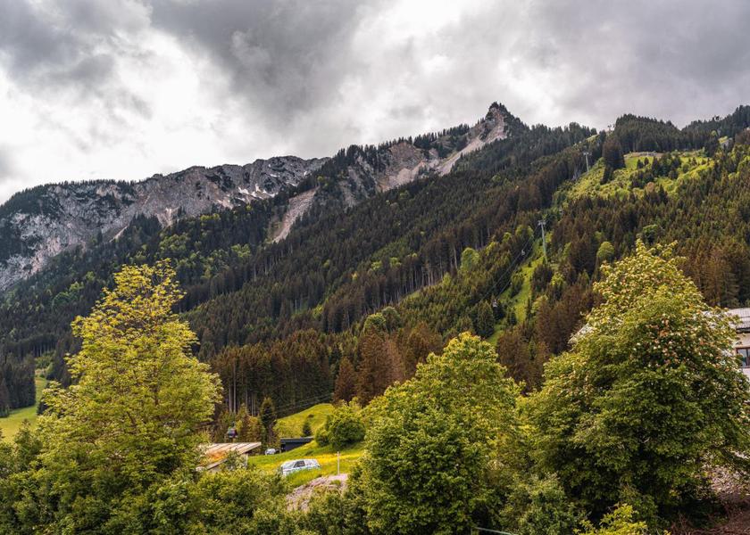 Tyrol Hoefen view