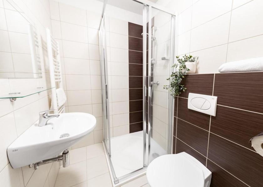 Vysocina (region) Snezne Double Room with Private Bathroom