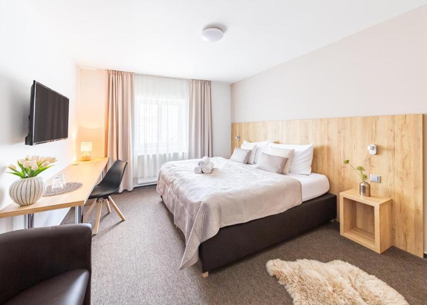 Vysocina (region) Snezne Double Room with Private Bathroom