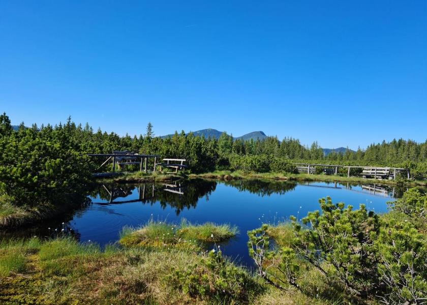 sports and activities