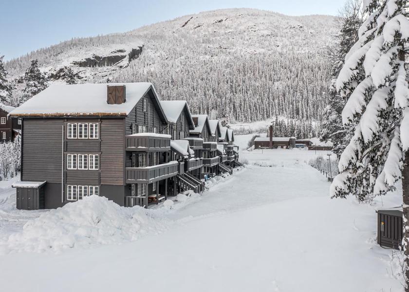Buskerud (county) Hemsedal exterior view