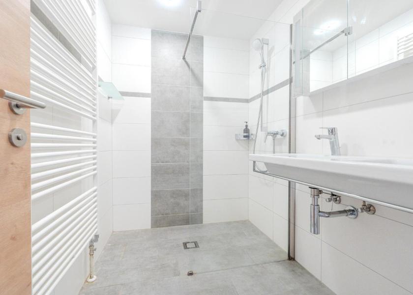 Upper Austria Bad Goisern Penthouse Apartment