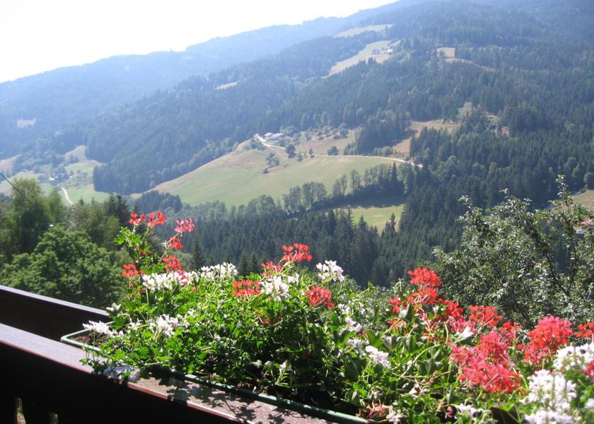 Carinthia Bad Sankt Leonhard im Lavanttal balcony/terrace
