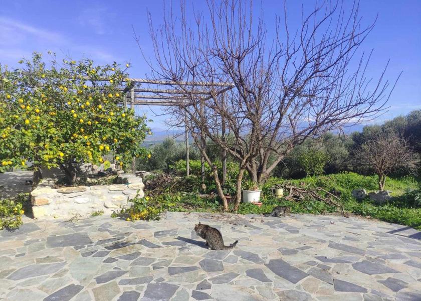 Crete Archanes-Asterousia 
