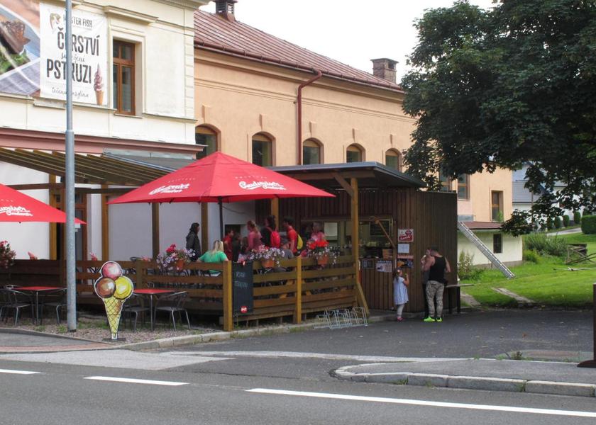 Hradec Kralove (region) Svoboda nad Upou 
