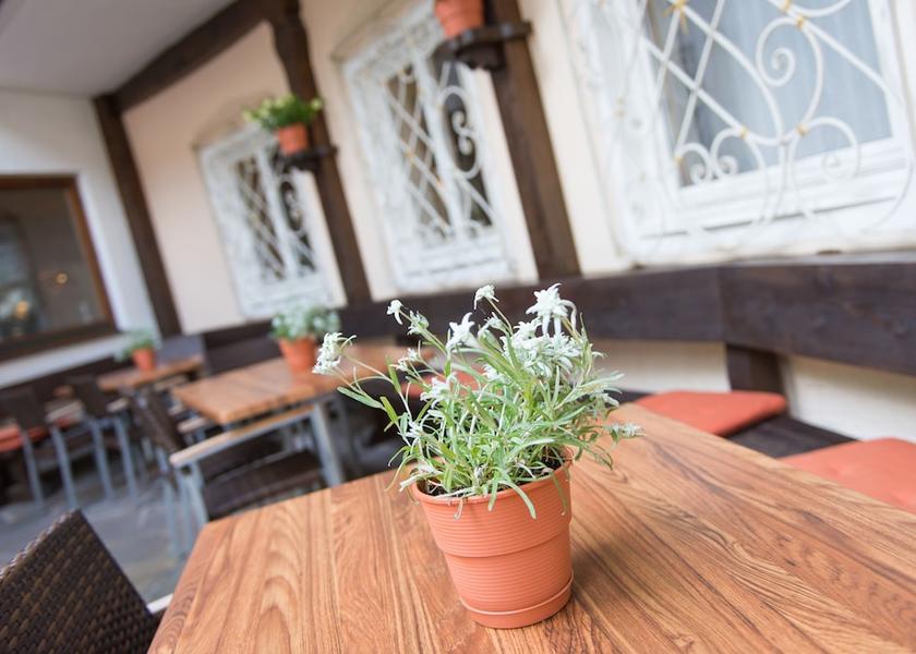 Salzburg State Filzmoos Cafe