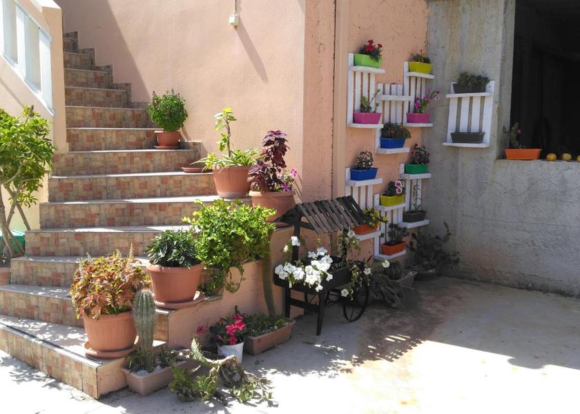 surrounding environment