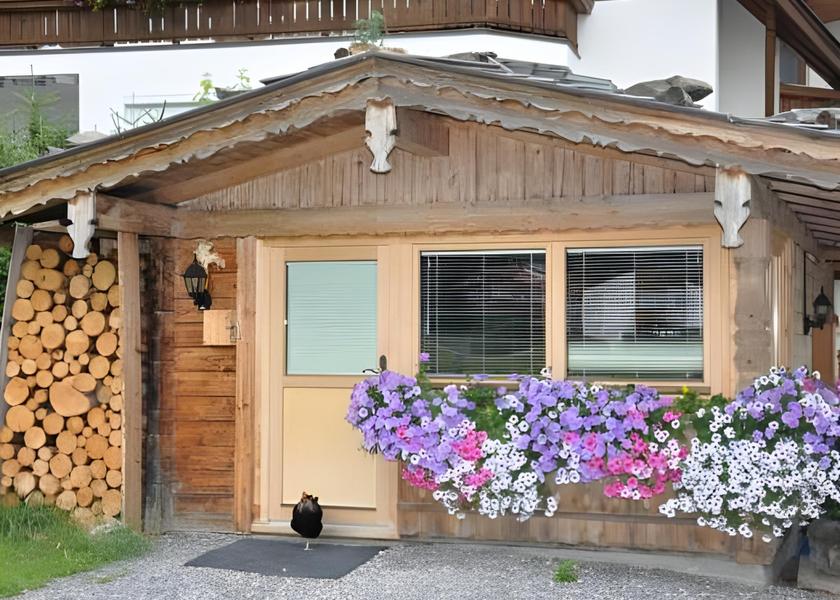 surrounding environment