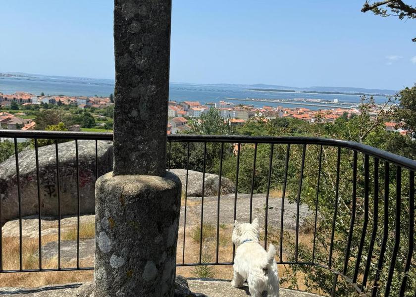 Galicia Vilagarcia de Arousa 