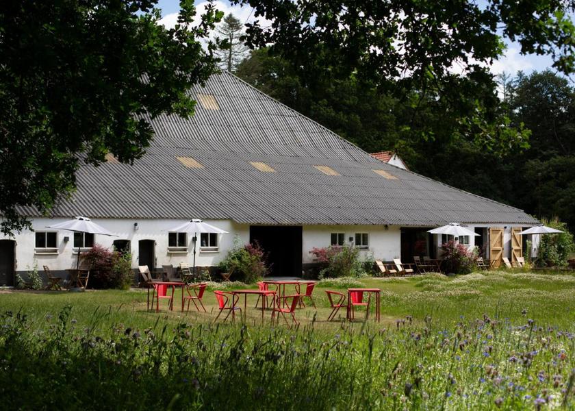 Gelderland Arnhem garden