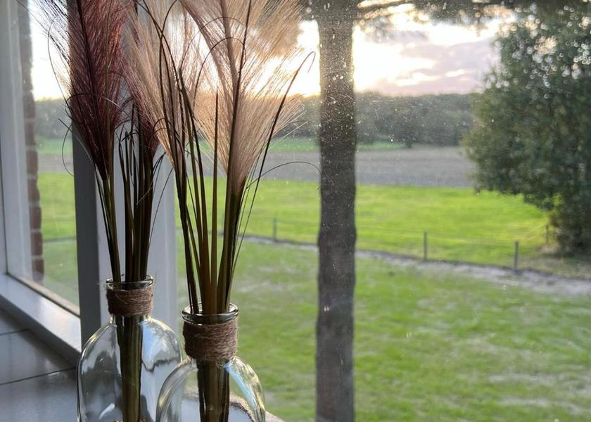 Gelderland Lochem garden