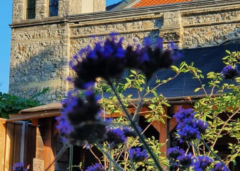 North Brabant Eindhoven garden