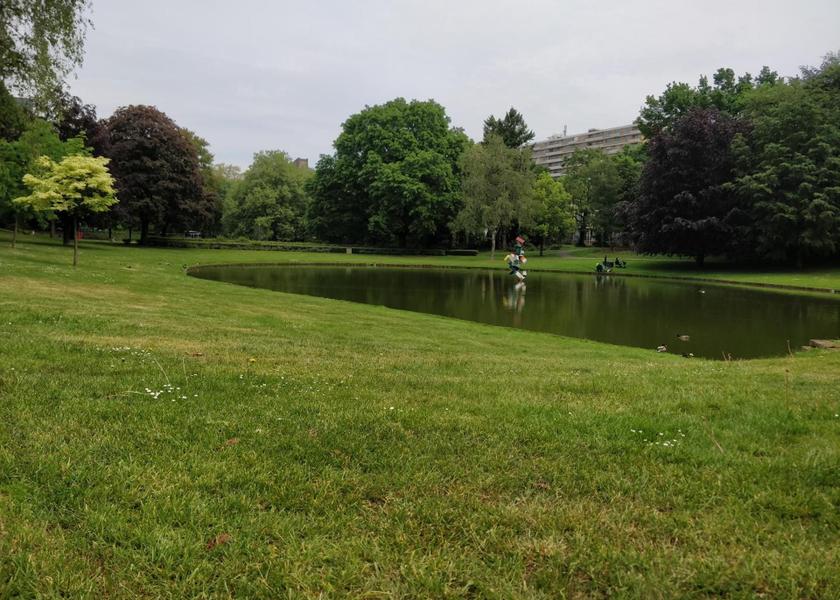 surrounding environment