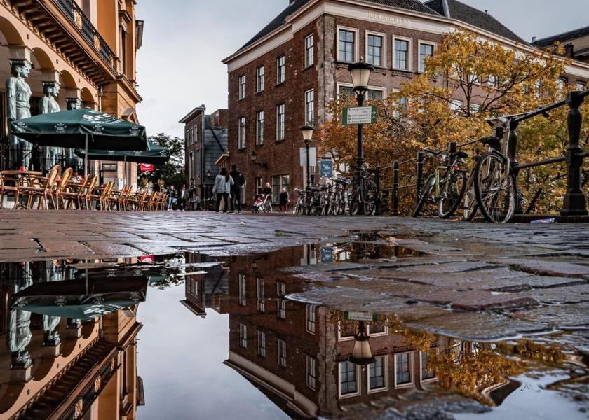 surrounding environment