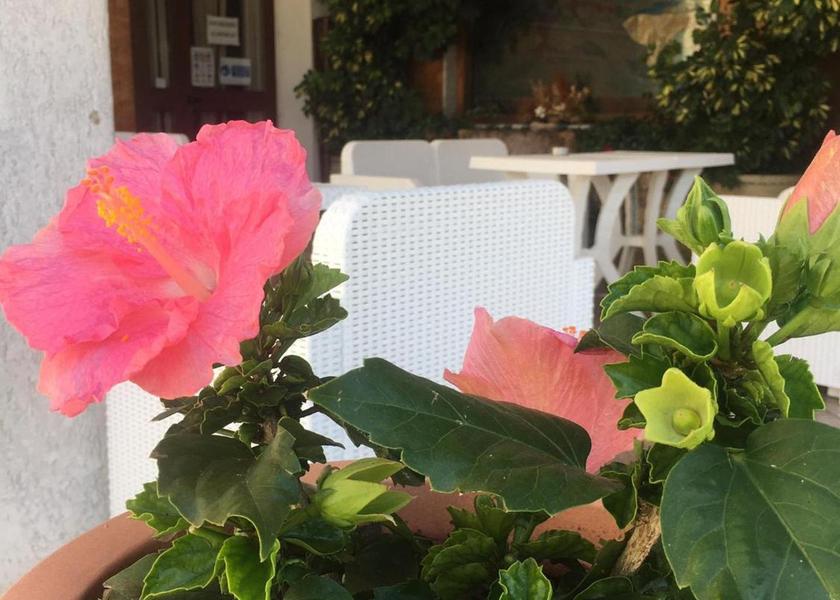 Calabria Castrovillari 