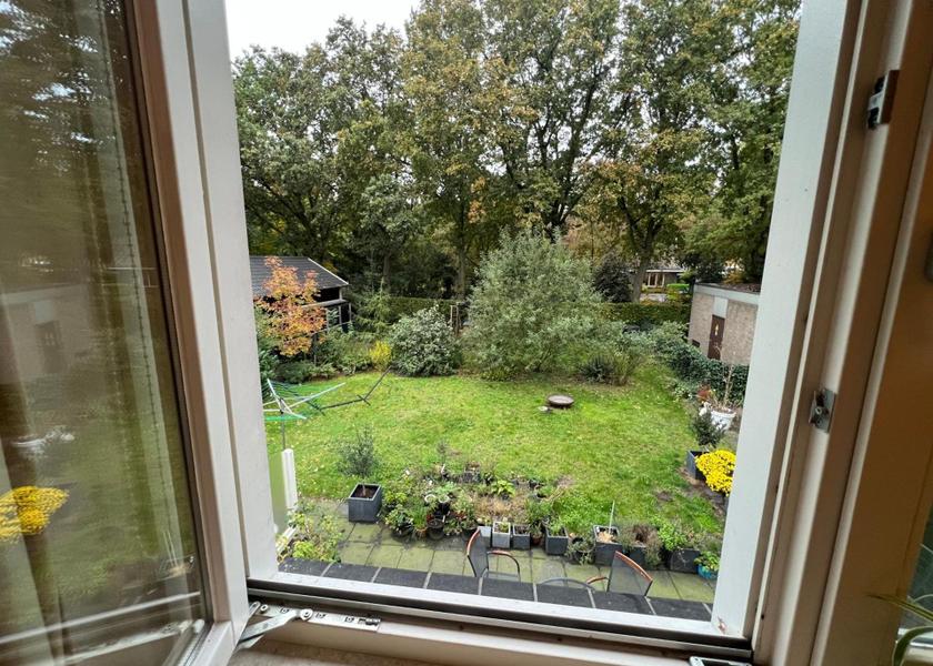 Overijssel Zwolle garden