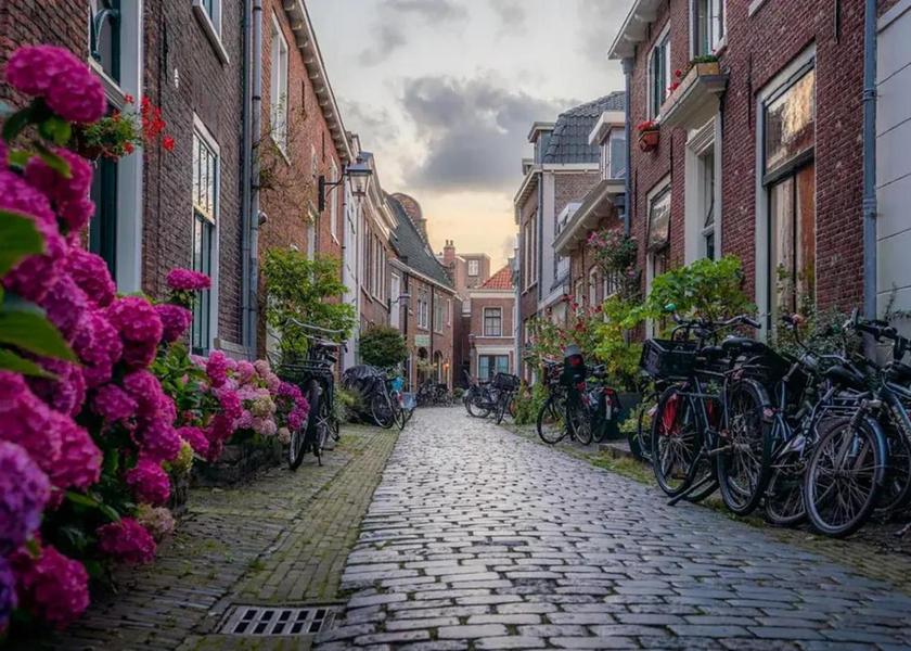 surrounding environment