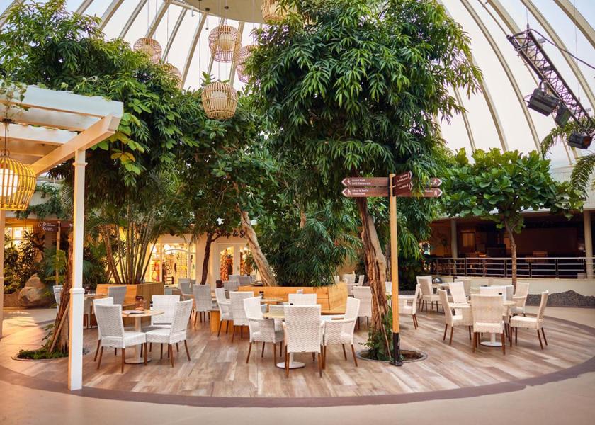 North Holland Zandvoort restaurant