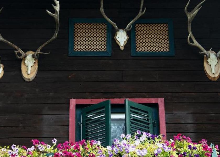 Tyrol Sankt Johann in Tirol Entrance