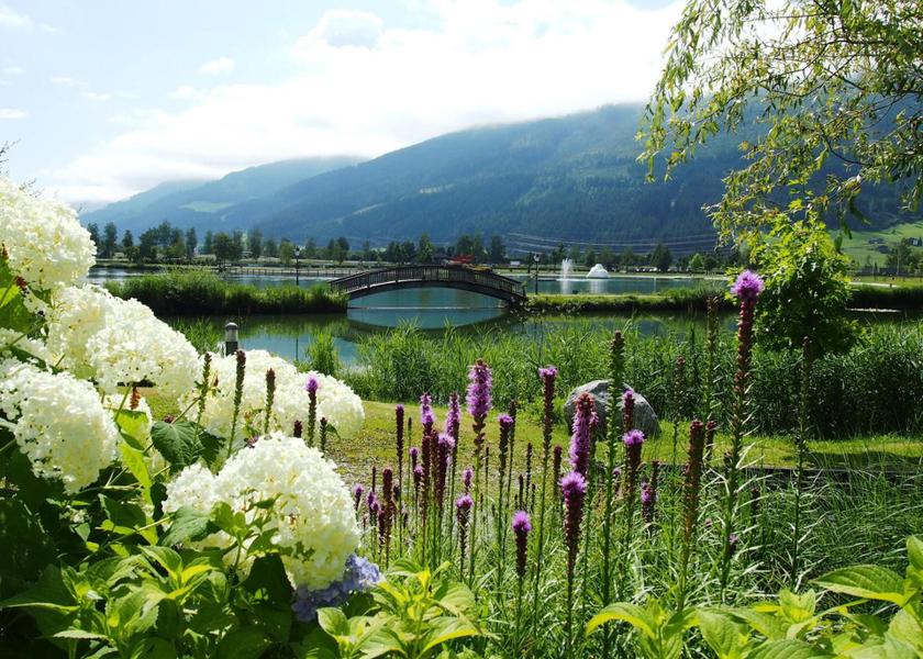 surrounding environment