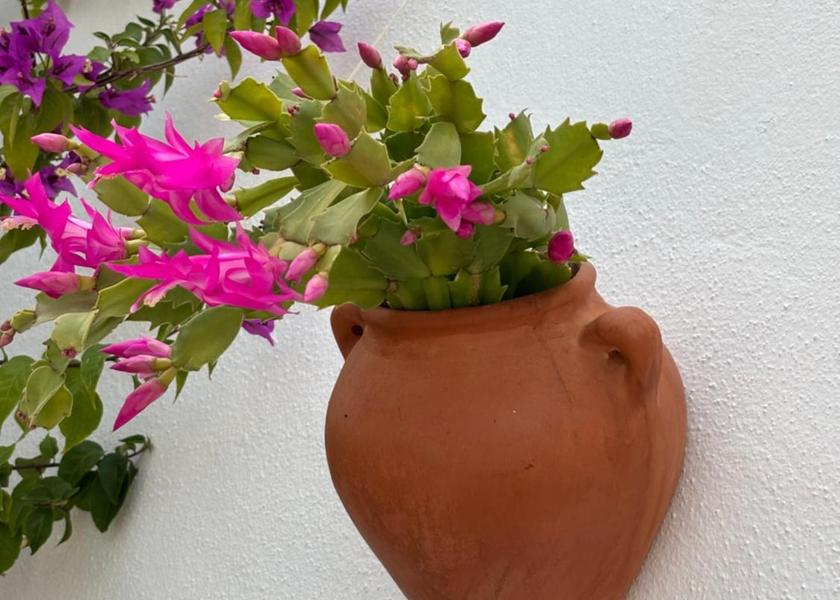 Andalusia Torrox 