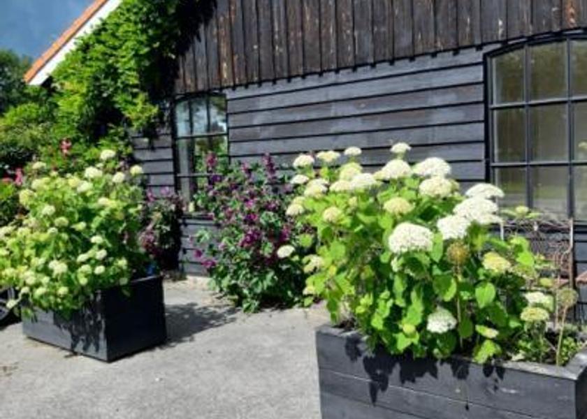 Gelderland Hengelo 