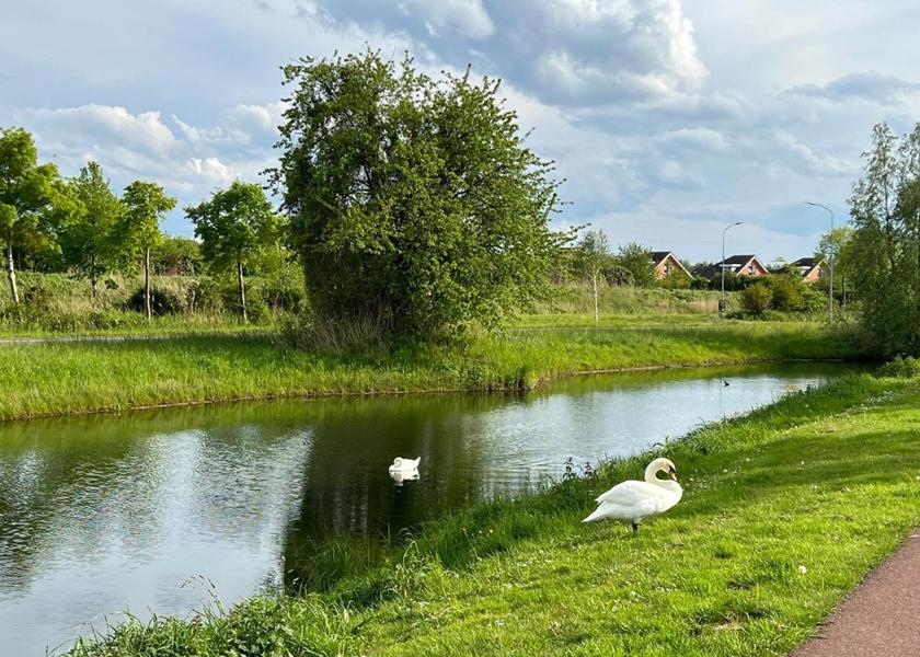 surrounding environment