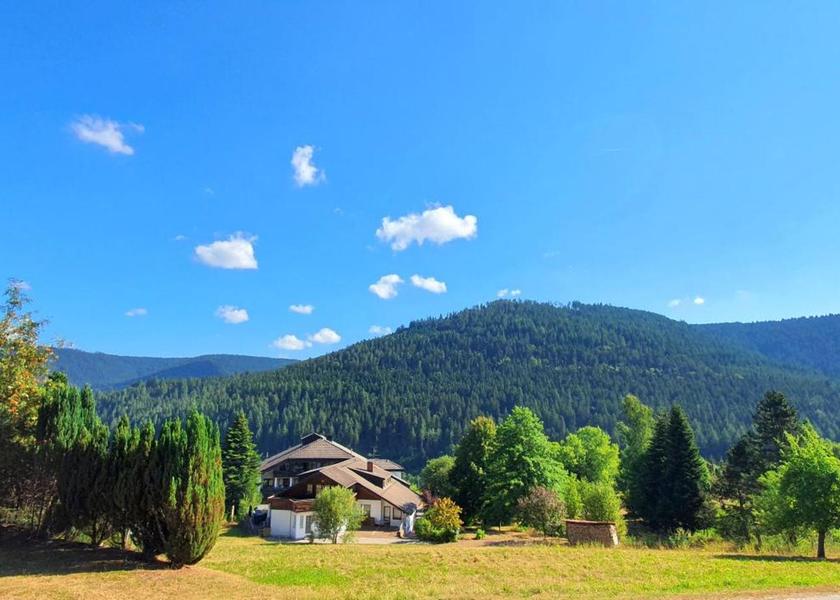 surrounding environment