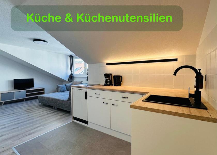 Saxony-Anhalt Halle (Saale) kitchen