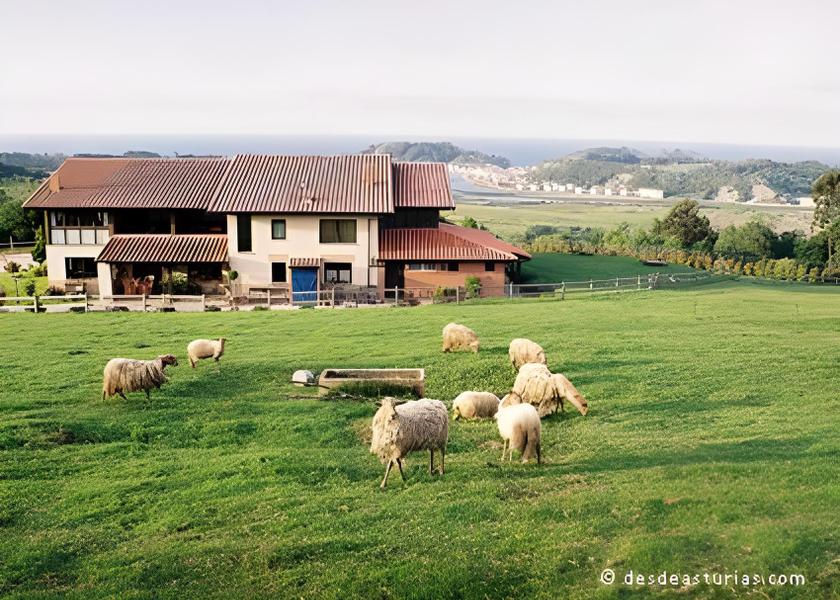 Asturias Ribadesella Exterior view