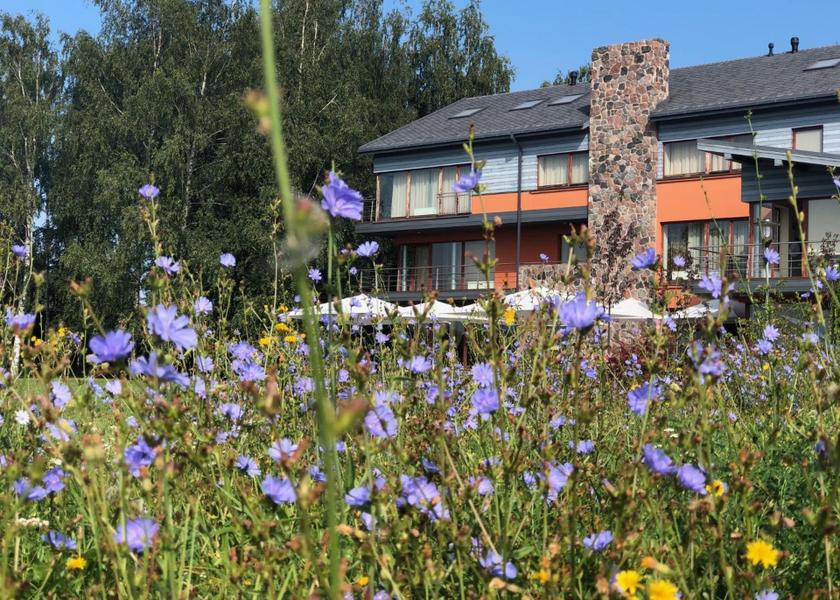 surrounding environment