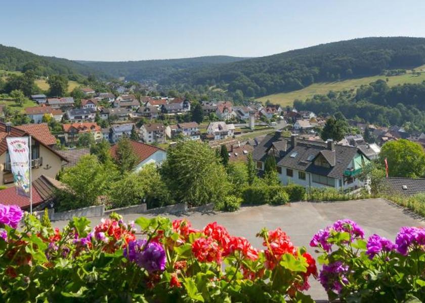 Bavaria Heimbuchenthal View