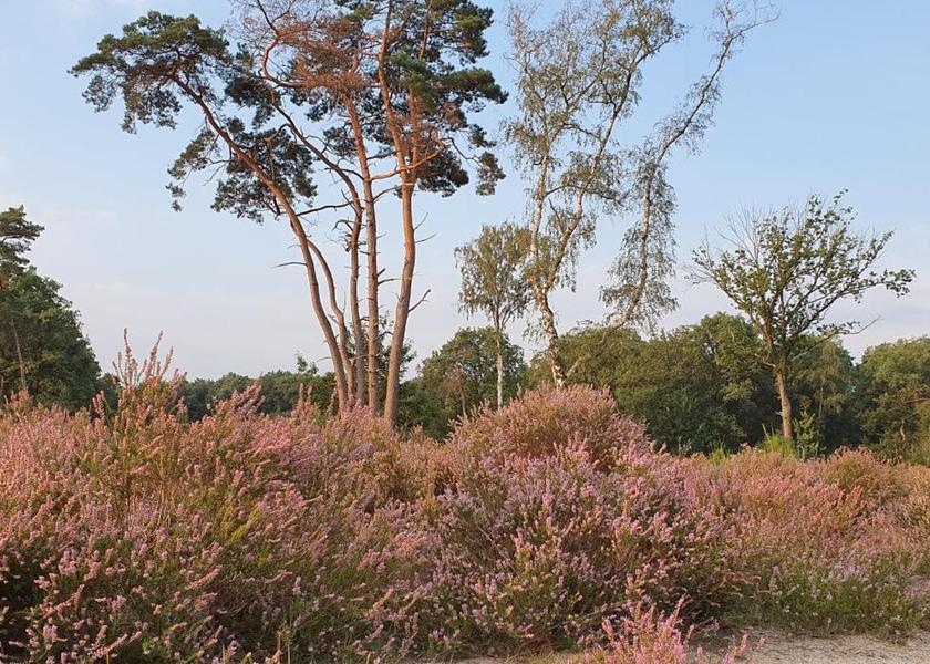 North Brabant Kaatsheuvel 